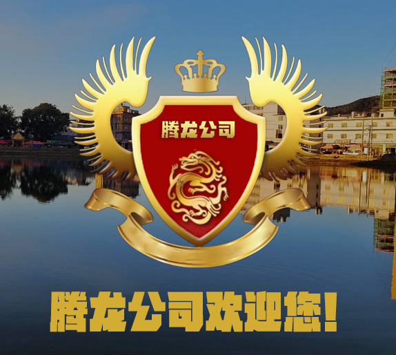 腾龙汽车服务门店介绍图片